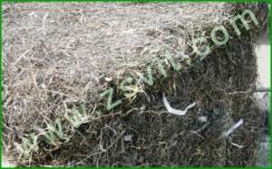 ����� ����������