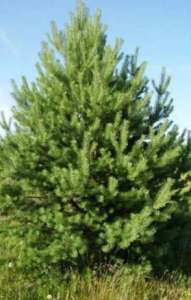 ����� ����������!