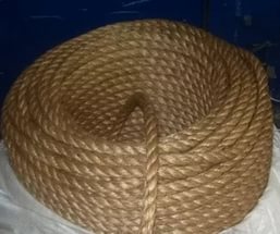 ����� ����������