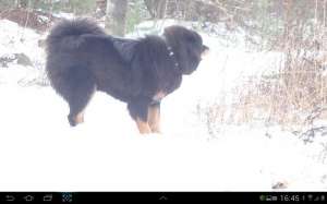 ����� ���������� �������