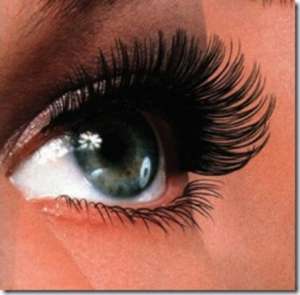 ����� ����������� ������, ���������� ������ � �����. ����������� ������ ���� �����. �������� ����������� ������. - ����������