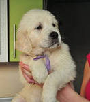 ����� ����������� ���������! - ����������