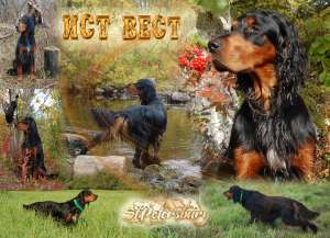 ����� ������������ �������