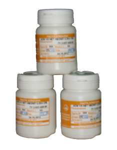 ����� ������������ ��������