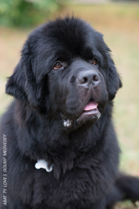 ����� ������������ �������� � ������������ ������