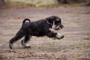 ����� �������������