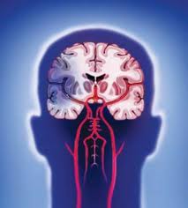 ����� ������������� �� ��� - ����������