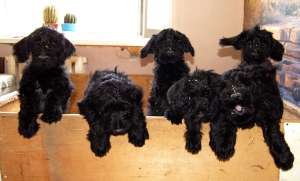 ����� ��������������