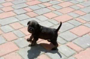 ����� ���������������