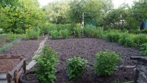 ������ 1/4 ����� ���� 24�.��. � ���. �������� 2,27�.� ���������� ����������� � ���. ����������� (����������� �-�) - ����������