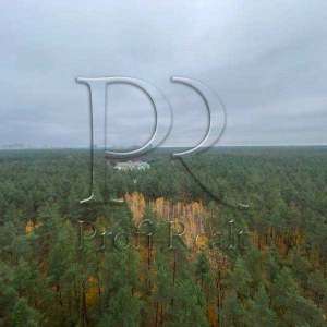 ������ 1-� �������� ���, ����������, 33000 $