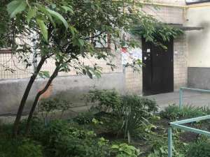 ������ 1-� �������� ���, �����������, 36500 $