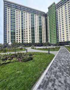 ������ 1-� �������� ���, �����������, 66000 $