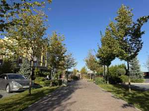 ������ 1-� �������� ����������, ���������� ���������, 41000 $