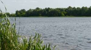 ������ 2 ������� �� 25 ����� �. ������ - ����������