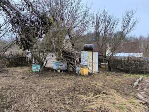 ������ 2-� ���� ����������, ��������, 11500 $