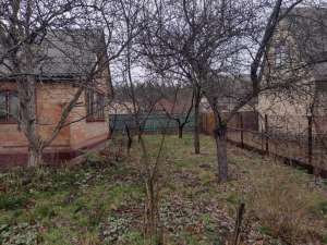 ������ 3-� ���� ����������, �����������, 29900 $