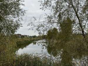 ������ 3-� ������ �������������, ������, 180000 $