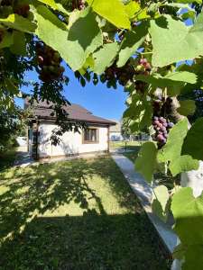 ������ 3-� ������� �����������, ���������, 53000 $ - ����������