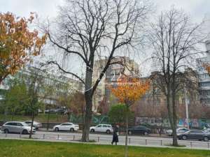 ������ 3-� �������� ���, �������������, 230000 $