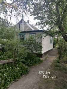 ������ 4-� ������� �������������, �����, 17000 $