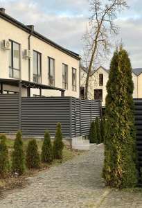 ������ 4-� �������� �����������, ����, 50000 $ - ����������