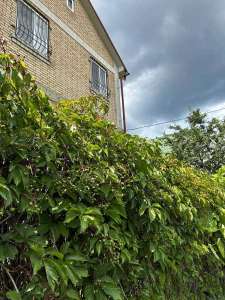 ������ 5-� ������� ���, ����������, 125000 $