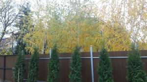 ������ 5-� ������� ����������, ���������� ���������, 240000 $