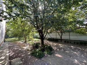 ������ 5-� ������� �����������, ������ �������, 110000 $