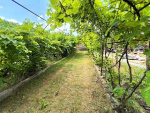 ������ 6-� ���� ����������, ���������, 220000 $