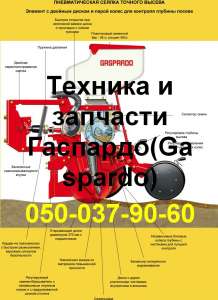 ������ GASPARDO MT � ��������� ��������� - ����������