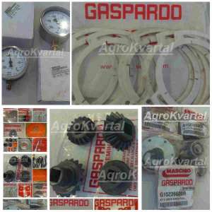 ������ Gaspardo SP8. �������� ����� ����� � ������� - ����������