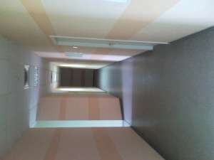 ������ - ����������