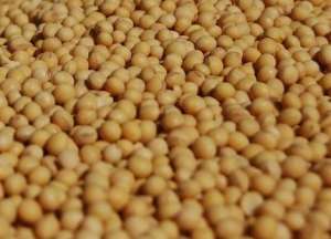 ������ � ���� ��� �� ��������� �� - ����������