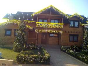 ������ � ������� ���������� ��������,�������� �� ����������,������� ���� - ����������