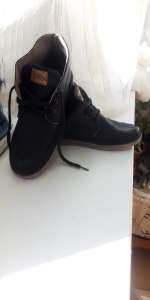 ������ �/� �����