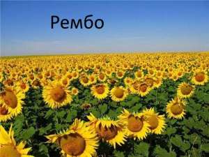 ������ �� ���������