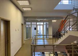 ������ �� ������������ ���� 700 � ��������� ������ + ��������, ��� �� ����, 7 ��, ���� - ����������