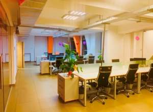 ������ �� ������������ ���� 700 � ��������� ������ + ��������, ��� �� ����, 7 ��, ����