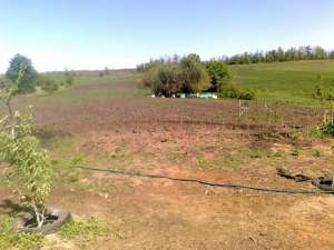 ������ ���