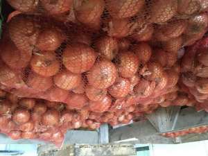 ������ ���