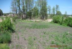 ������ ���.