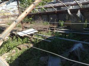 ������ ��� � �����