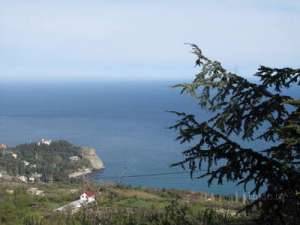 ������ ��� � ������