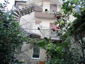 ������ ��� � �.������