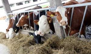 ������ ��� �� ����� �� ����� - ����������