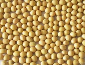 ������ ��� ��� ��������� - ����������