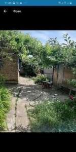 ������ ��� ����. ����� ���������. - ����������