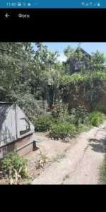 ������ ��� ����. ����� ���������.