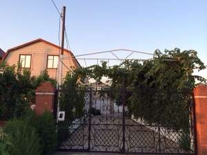 ������ ��� ����, ����������� ���, ���������� - ����������